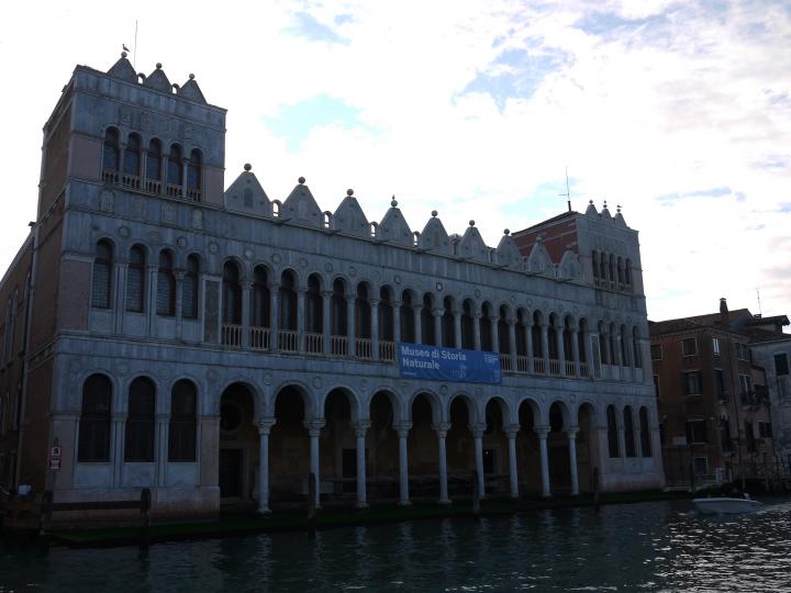 Venise - Museo di storia naturale