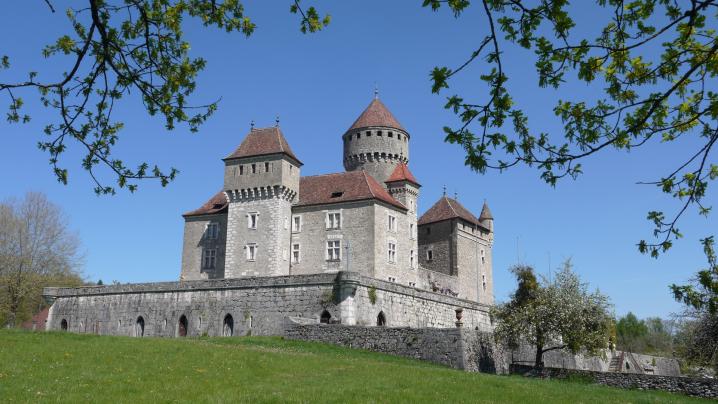 Château de Montrottier
