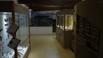 Musee archéologique du lac de Paladru - Exposition permanente