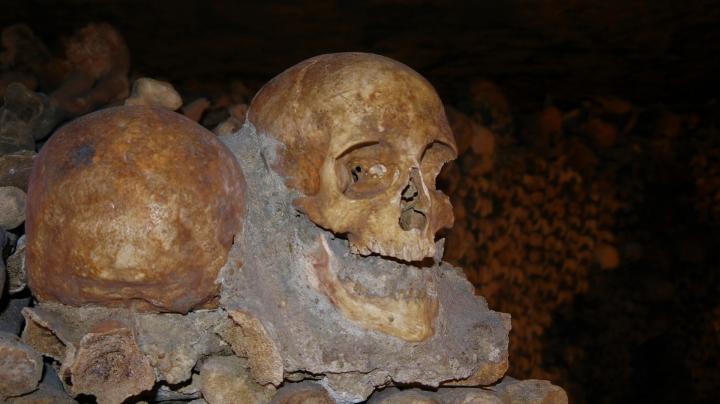 Paris - Catacombes - Crâne
