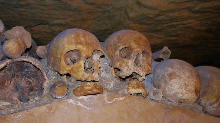 Paris - Catacombes - Crânes
