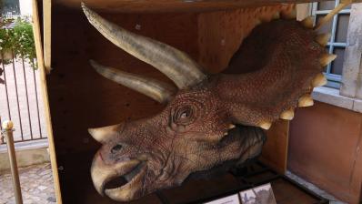 Tete du triceratops de Jurassic Park
